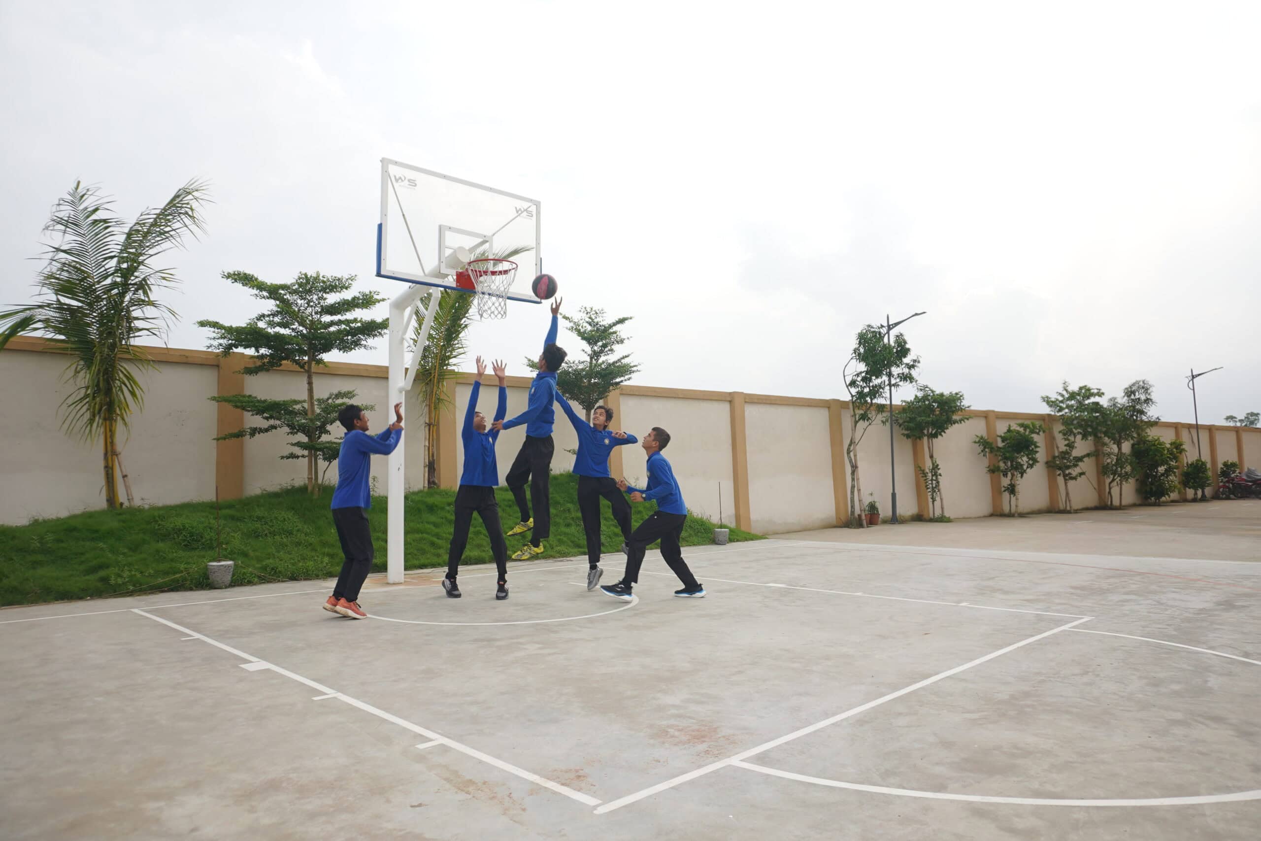 Basketball Court